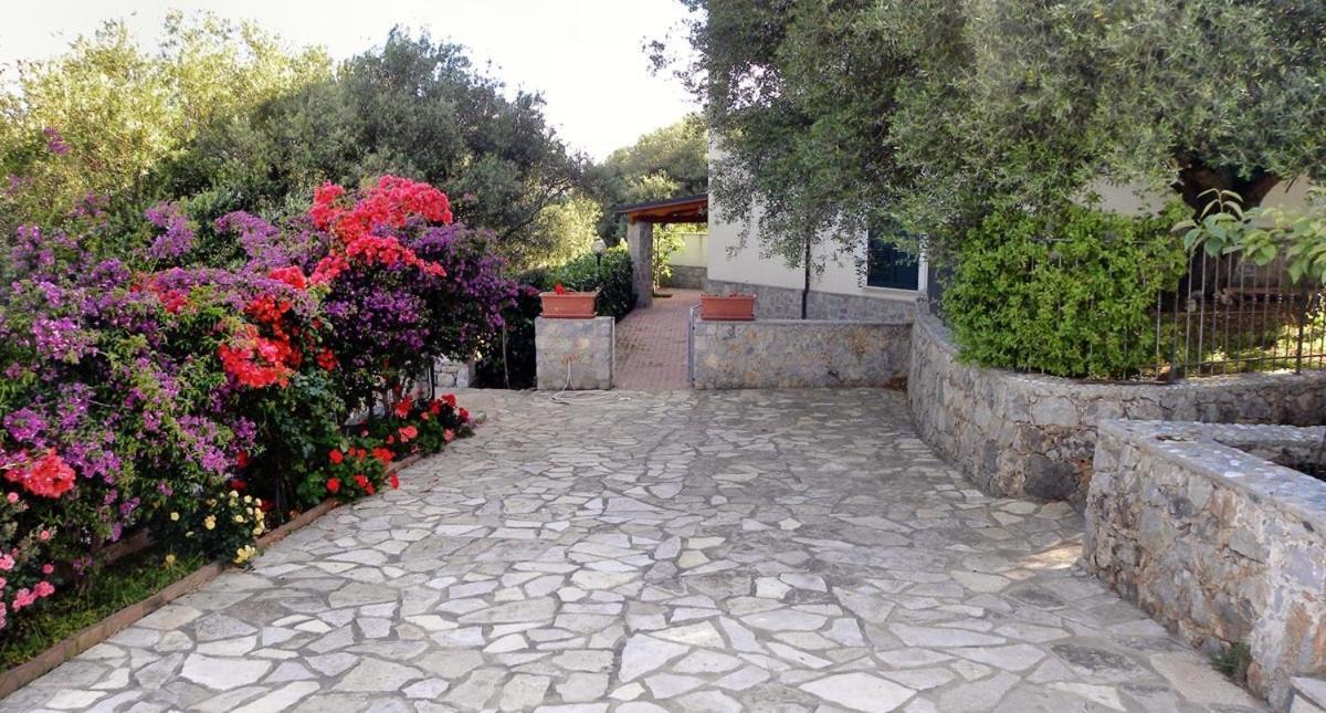 Seamoon Residence Marina di Camerota Luaran gambar